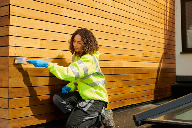 Best Siding Replacement  in Hayfork, CA